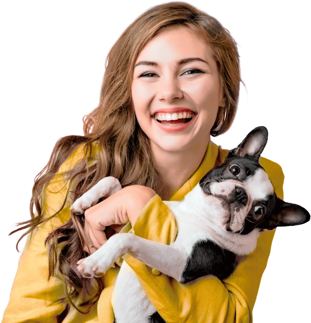 Clínica Cães & Gatos