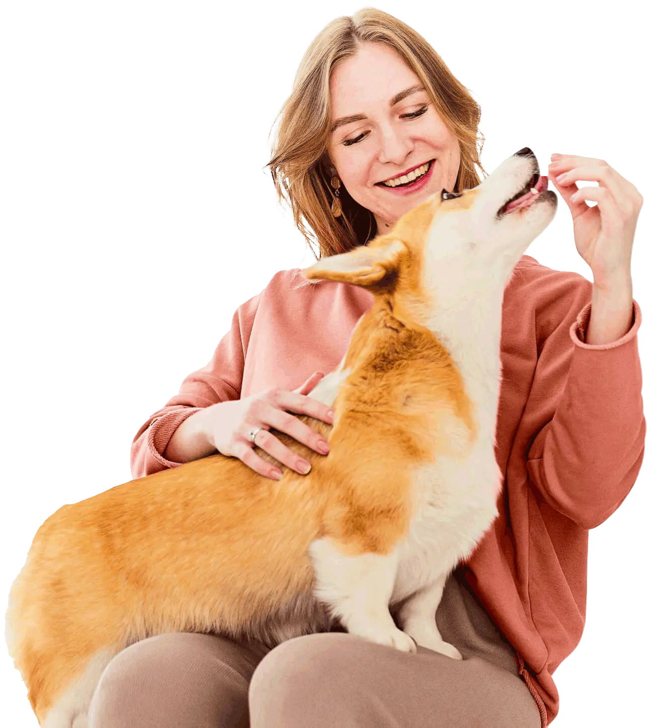 Clínica Cães & Gatos